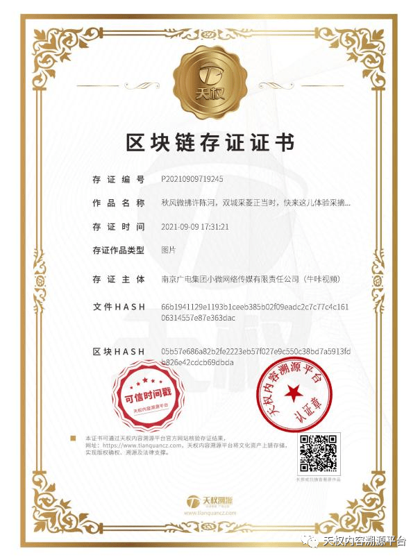 北京交易所区块链，保交所区块链