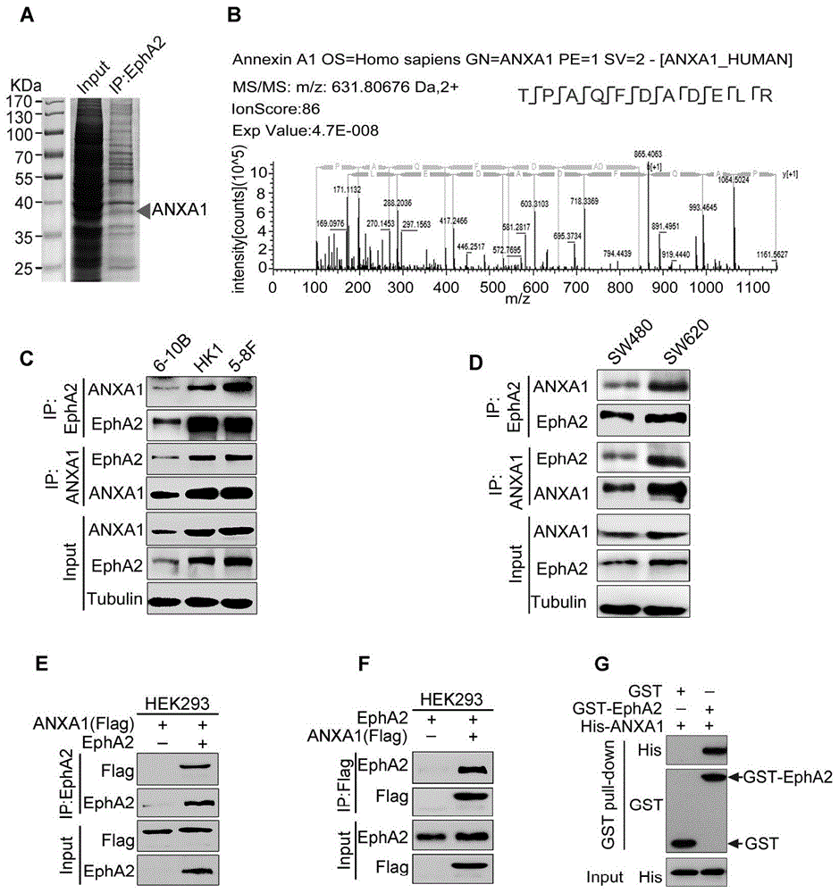 币安币 比特币，anx比特币