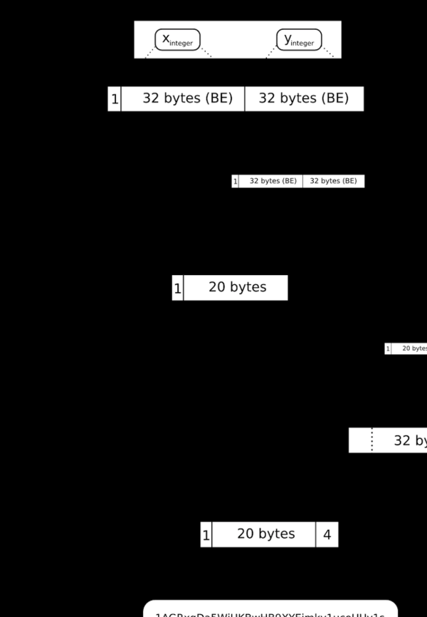比特币公钥的作用是什么，比特币公钥问题