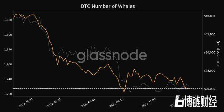 比特币巨鲸账户第一名，比特币鲸鱼排行